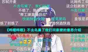 《哔哩哔哩》不去鸟巢了我们回家梗的意思介绍