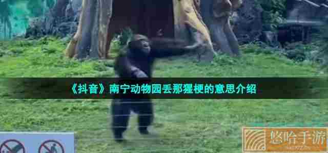 《抖音》南宁动物园丢那猩梗的意思介绍