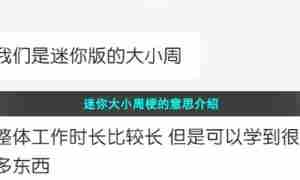 迷你版大小周梗的意思介绍