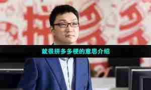 就很拼多多梗的意思介绍