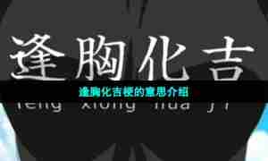 逢胸化吉梗的意思介绍