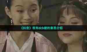 《抖音》我有dcb梗的意思介绍