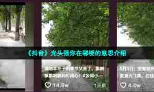 《抖音》光头强你在哪梗的意思介绍