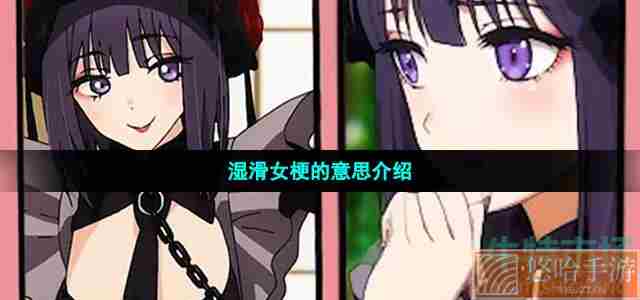 湿滑女梗的意思介绍