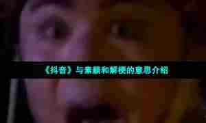 《抖音》与素颜和解梗的意思介绍