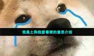 我是土狗我爱看梗的意思介绍