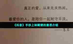 《抖音》手抄上林赋梗的意思介绍