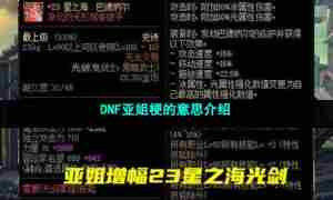 DNF亚姐梗的意思介绍