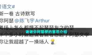 谢谢你阿瑟梗的意思介绍