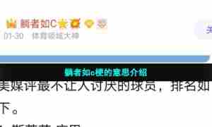 躺者如c梗的意思介绍