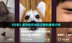 《抖音》爱你咕叽咕叽汪梗的意思介绍