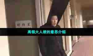 高领大人梗的意思介绍