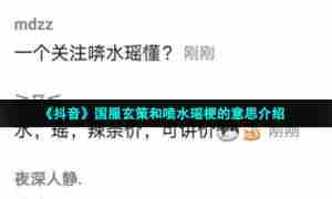 《抖音》国服玄策和喷水瑶梗的意思介绍