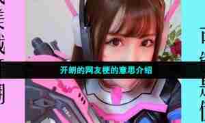 开朗的网友梗的意思介绍