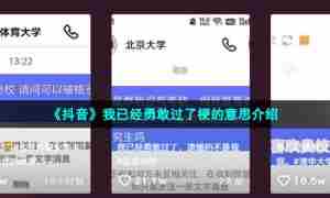 《抖音》我已经勇敢过了梗的意思介绍