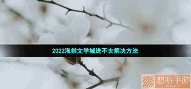 2022海棠文学城进不去解决方法
