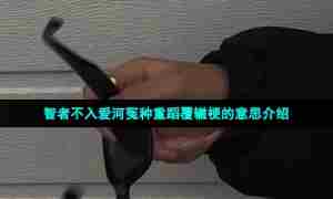 智者不入爱河冤种重蹈覆辙梗的意思介绍