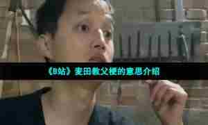 《B站》麦田教父梗的意思介绍