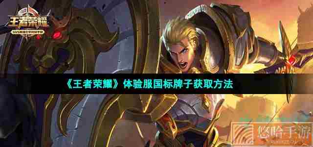 《<a href=https://www.wxsxzz.cn/game/2572.html target=_blank class=infotextkey><a href=https://www.wxsxzz.cn/game/5834.html target=_blank class=infotextkey>王者荣耀</a></a>》体验服国标牌子获取方法