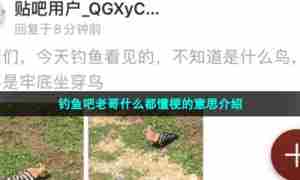 钓鱼吧老哥什么都懂梗的意思介绍