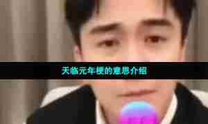 天临元年梗的意思介绍