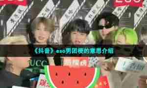 《抖音》eso男团梗的意思介绍