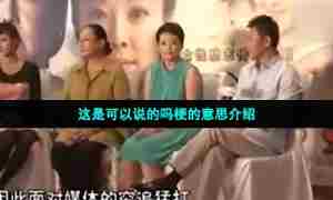 这是可以说的吗梗的意思介绍