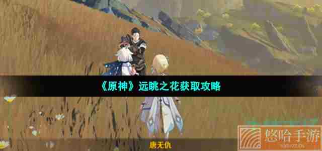 《<a href=https://www.wxsxzz.cn/game/627.html target=_blank class=infotextkey>原神</a>》远眺之花获取攻略