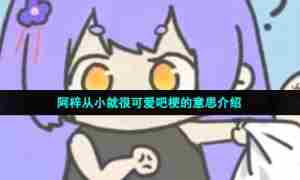 阿梓从小就很可爱吧梗的意思介绍