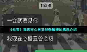 《抖音》我现在心里五谷杂粮梗的意思介绍
