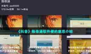 《抖音》陈依涵软件梗的意思介绍