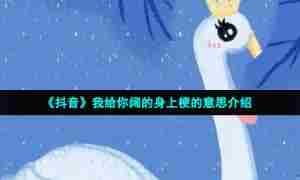 《抖音》我给你阔的身上梗的意思介绍