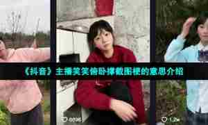 《抖音》主播笑笑俯卧撑截图梗的意思介绍