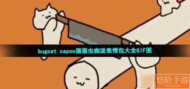 bugcat capoo猫猫虫咖波表情包大全GIF图