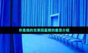 你是我的克莱因蓝梗的意思介绍